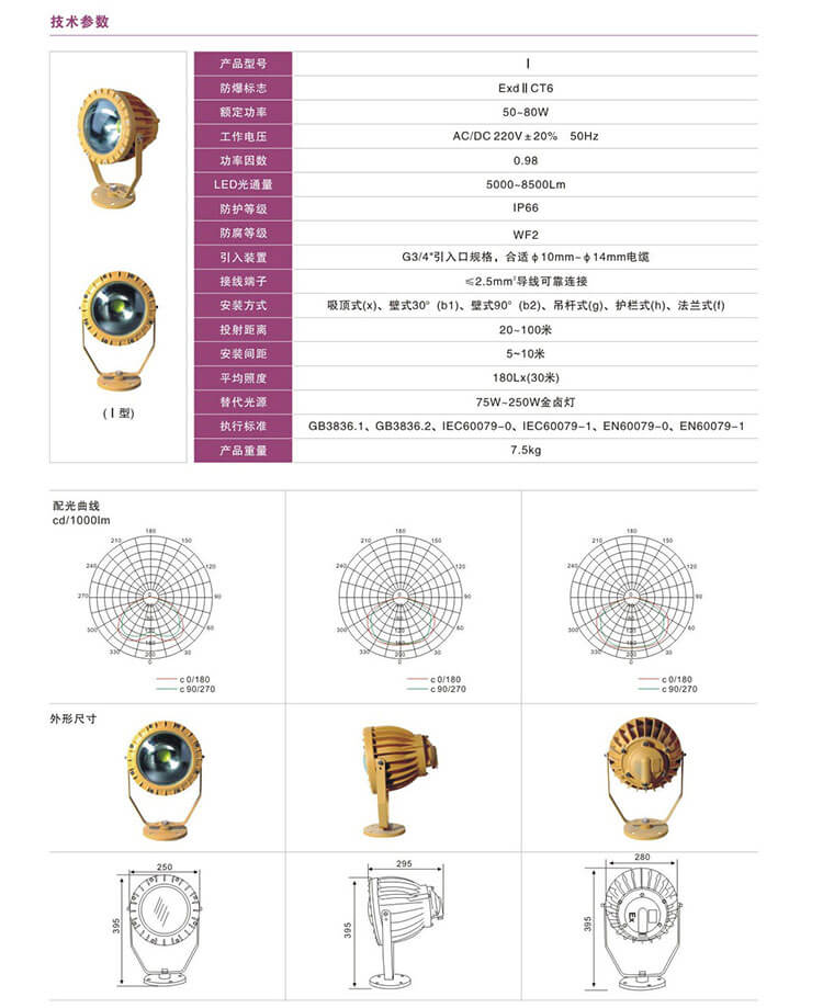 ����Ͷ���